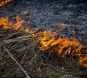 МЧС: в Тульской области ожидается высокий уровень пожароопасности