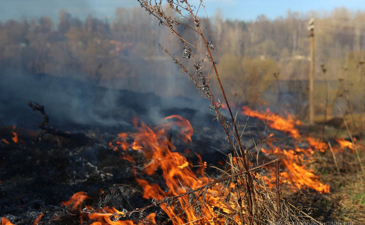 Рядом с Восточным обводом горит трава 