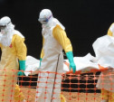 В аэропортах России начали проверять на вирус лихорадки Эбола