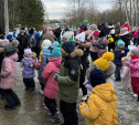 Новогодние чудеса в поселке Лазарево