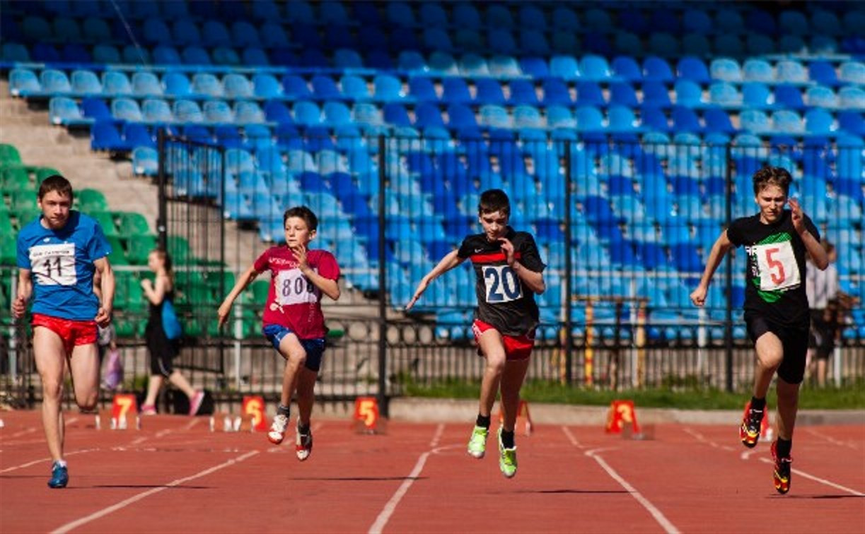 Школьники из Тулы и области сдали нормы ГТО в легкоатлетических видах спорта