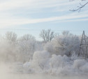 Погода в Туле 9 февраля: лёгкий мороз, снег и облачность