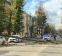 На ул. Н. Руднева упавшее на дорогу дерево перекрыло движение транспорта
