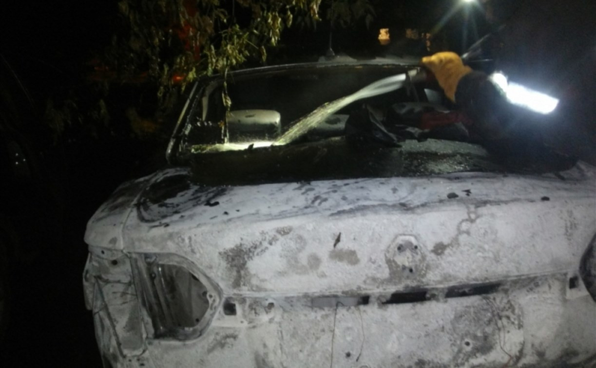 Ночью на стоянке в Новомосковске сгорели три автомобиля
