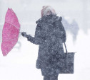 Погода в Туле 9 января: метель, ветер и до -4 градусов