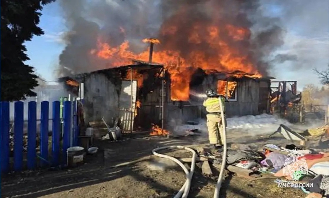 В Тульской области за сутки потушили пять пожаров