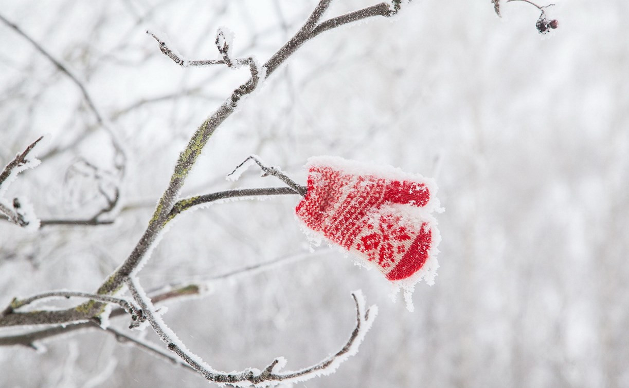 Погода в Туле 22 ноября: мороз и повышенное атмосферное давление