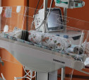 В марте в Тульском перинатальном центре родилось 280 малышей