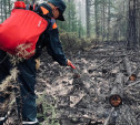 Как тульские спасатели помогают тушить лесные пожары в Якутии: фоторепортаж