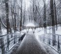 Седая зима в Платоновском парке