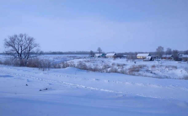 Снежный апокалипсис: заваленные дороги, отсутствие продуктов, биржа снега и взаимопомощь туляков