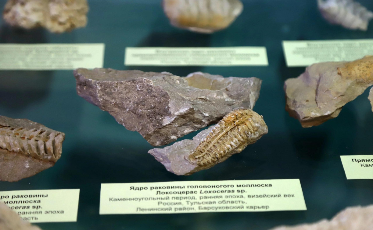 Популяризатор науки Алексей Пахневич расскажет тулякам о минералах