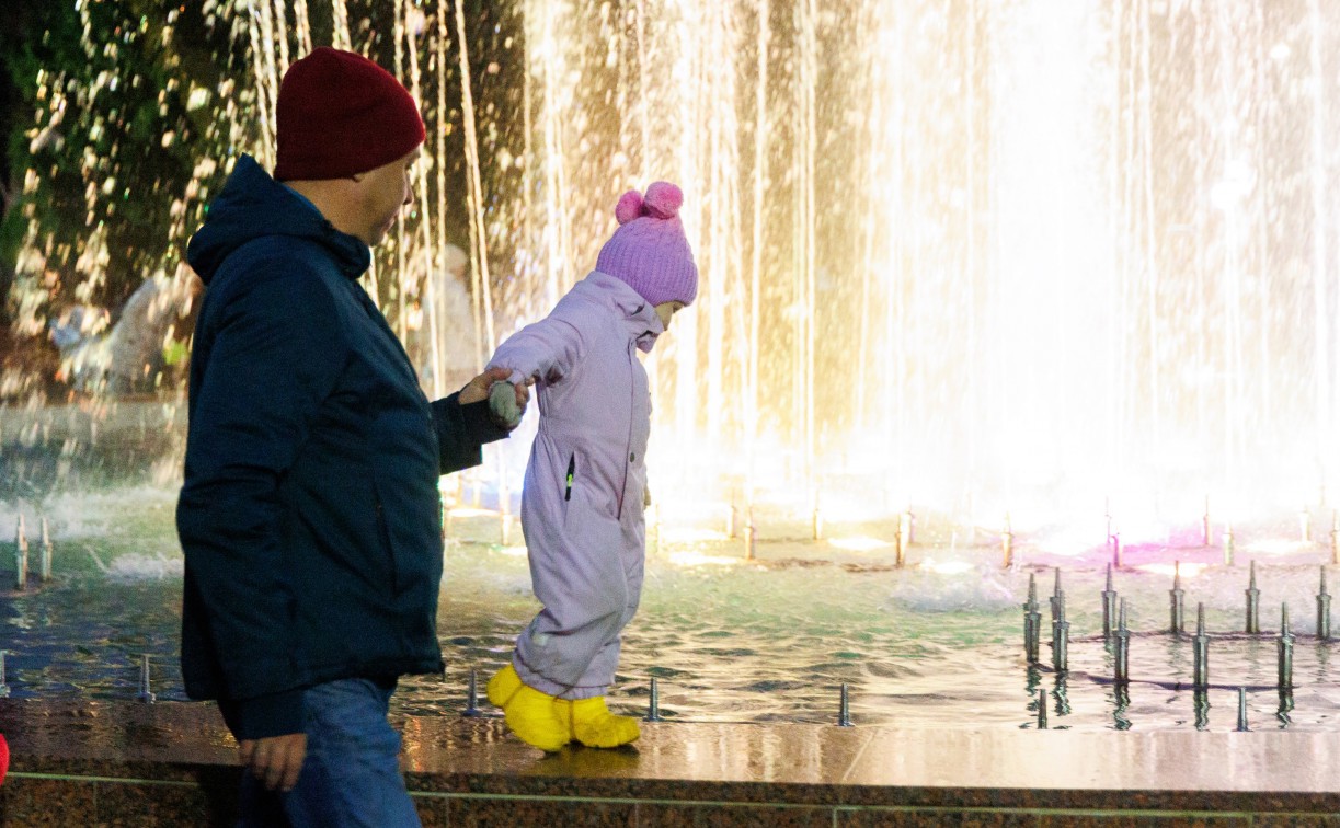 В Туле на обслуживание семи фонтанов потратят 22 млн рублей 