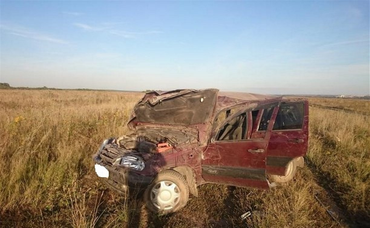 Под Алексином в ДТП с пьяным водителем пострадали два ребёнка