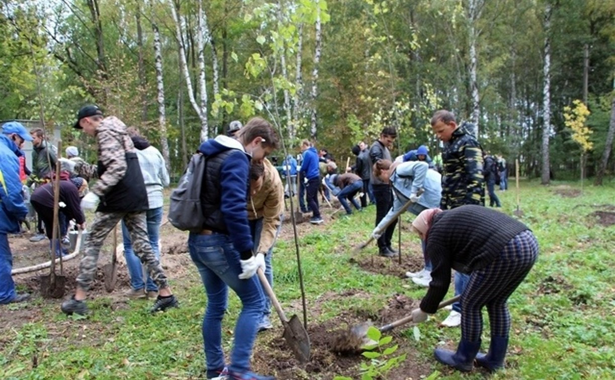 В Туле в Комсомольском парке высадили 200 саженцев деревьев