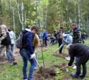 В Туле в Комсомольском парке высадили 200 саженцев деревьев