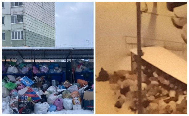 «У „Хартии“ тоже выходные до 12 января?»: туляки жалуются на горы мусора рядом с многоэтажками