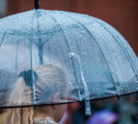 Погода в Туле 19 сентября: дождь и ветер