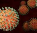 5 вопросов про коронавирус: про прививку БЦЖ, последовательность симптомов CОVID-19 и специальное питание  