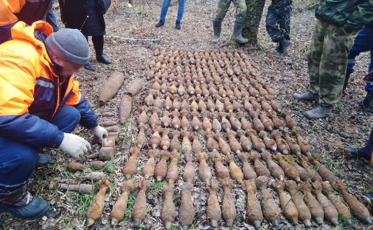 Под Тулой поисковики нашли более 170 боеприпасов времен войны