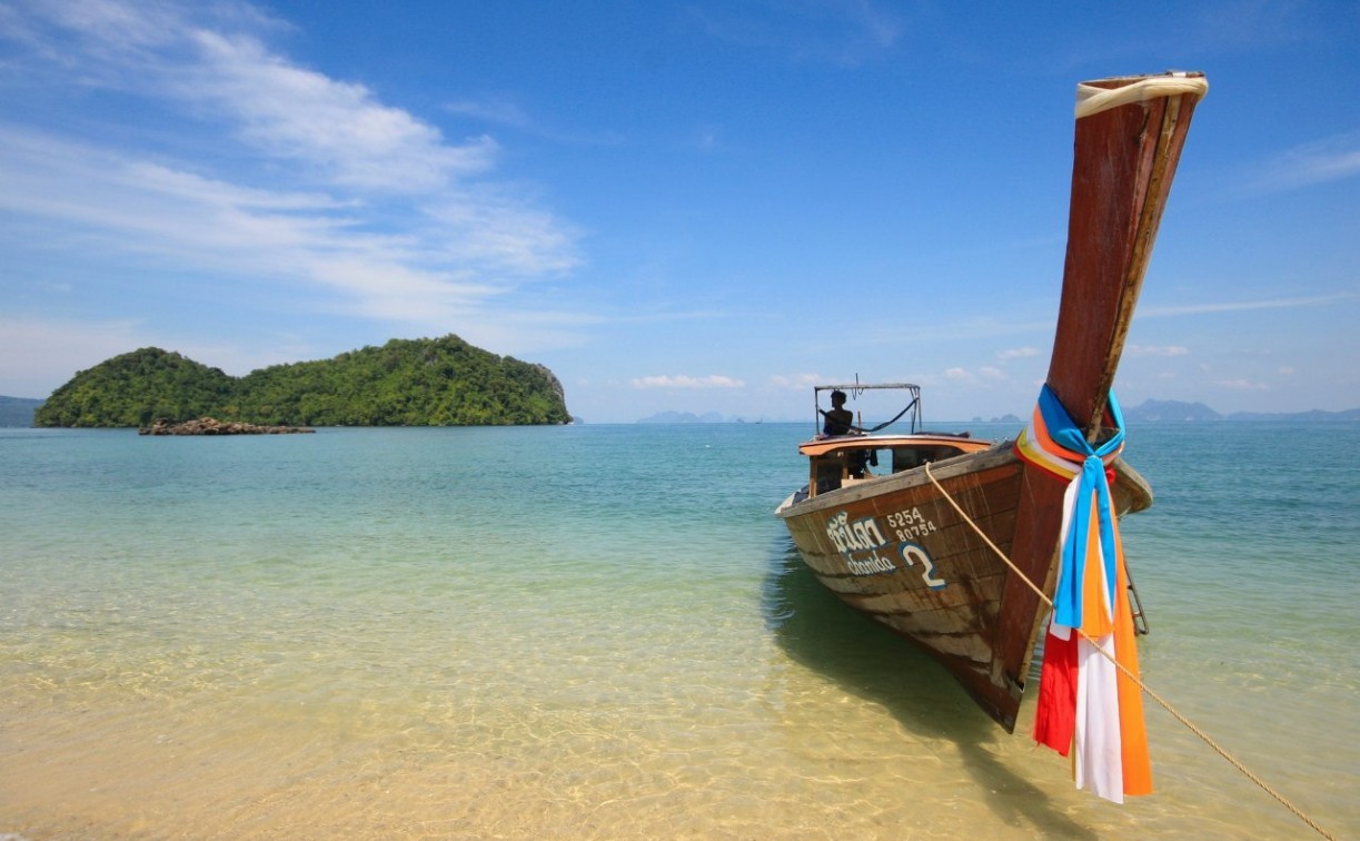 Обещала отели с Меладзе и Шуфутинским: турагент из Тулы «кинула» клиентов почти на 25 млн рублей