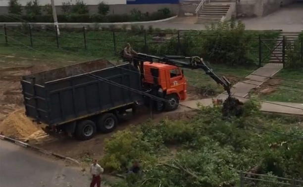 Вырубают деревья: рядом со школой №21 в Туле появится парковка
