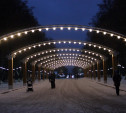 В Центральном парке Тулы установили арки с подсветкой