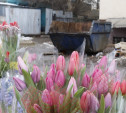 Торговля цветами возле помойки в Туле: виновата мусорная компания