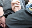 Житель Суворова отсидит 1,5 года за нападение на полицейского