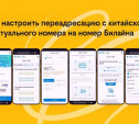 Китайский номер без перелётов: как купить в России, а зарегистрировать онлайн