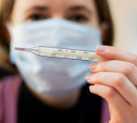 За неделю более 5500 туляков заразились гриппом и ОРВИ