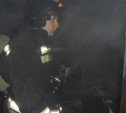 Пожарные спасли из горящей квартиры в Туле на улице Кирова двоих пенсионеров