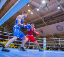 Тульские боксеры завоевали 12 медалей на турнире «Гран-при Тулы»