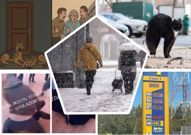 Прогноз на зиму, дом равнодушия и избиение школьника: топ-5 новостей недели Myslo