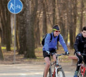 Велодорожка в Центральном парке протянется на семь километров