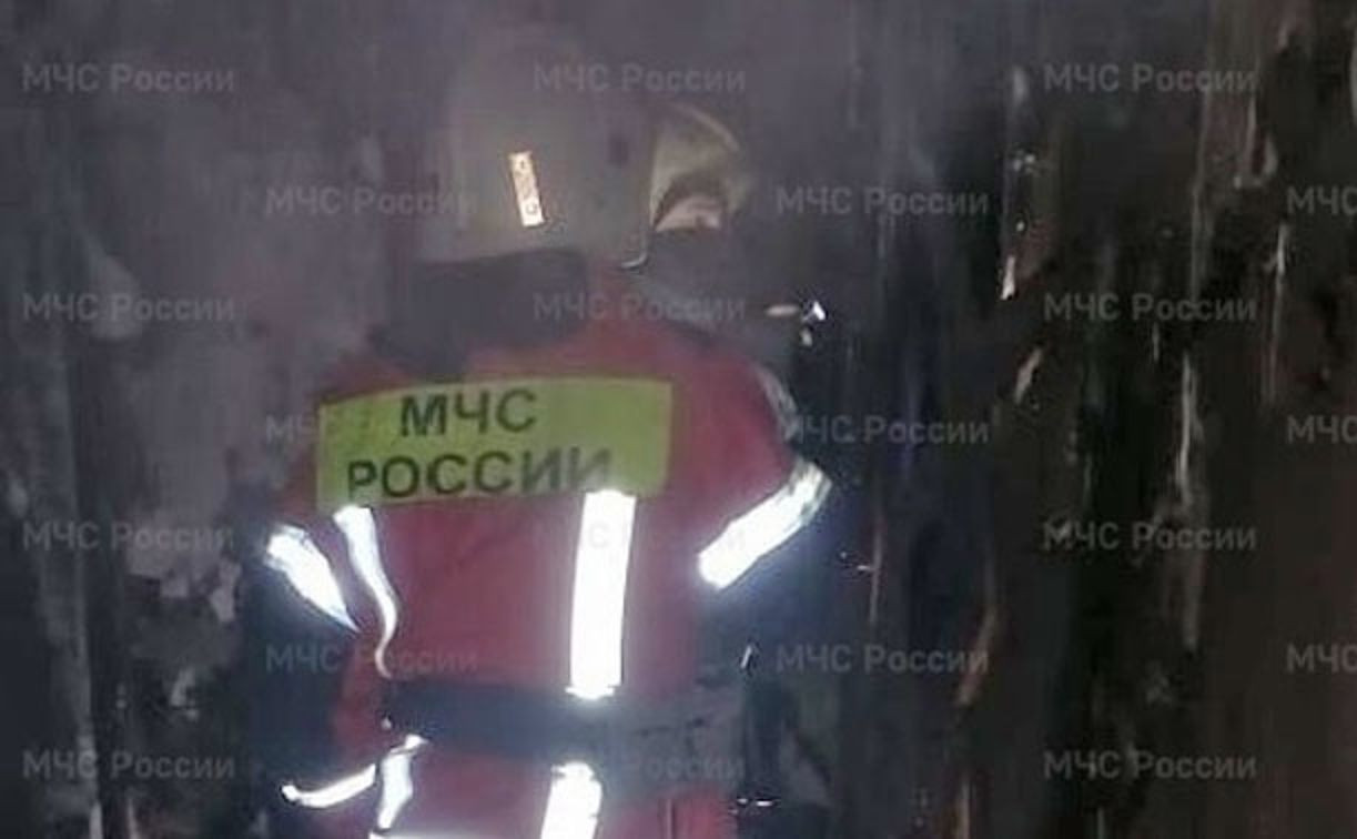 Пожар в Северной Мызе: эвакуирован 21 человек, 7 спасенных