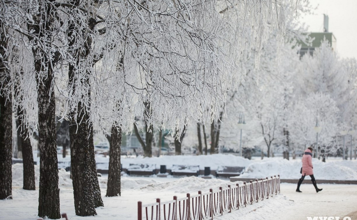 Погода в Туле 2 марта: снег, гололед и пониженное давление