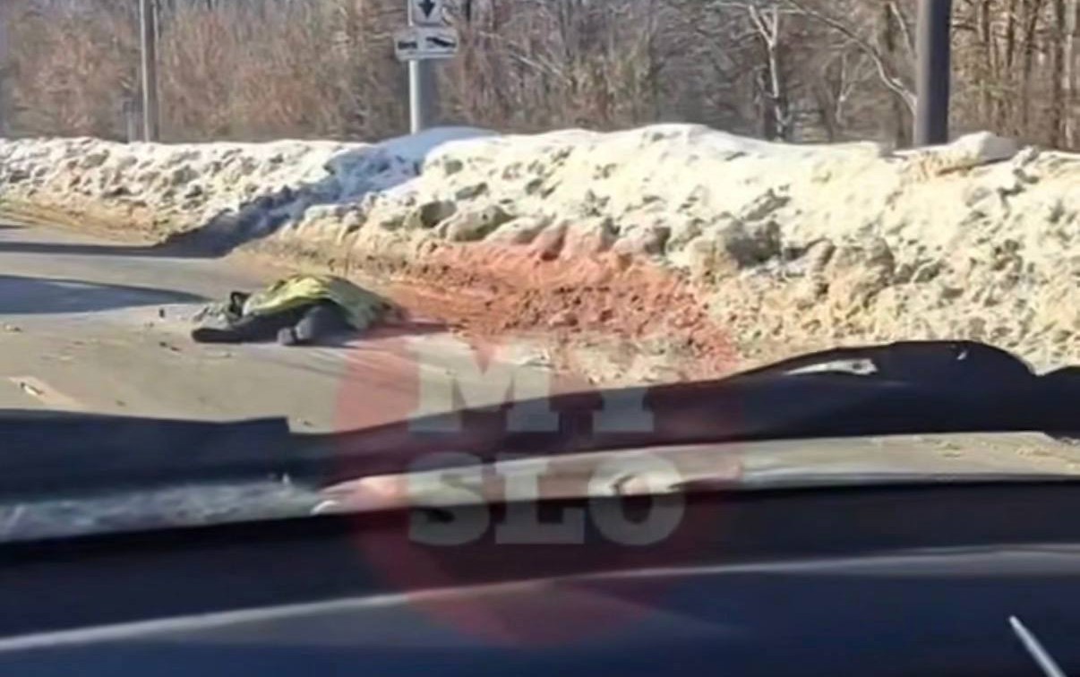 Сбил насмерть пешехода у Ледового дворца: на водителя Toyota завели уголовное дело