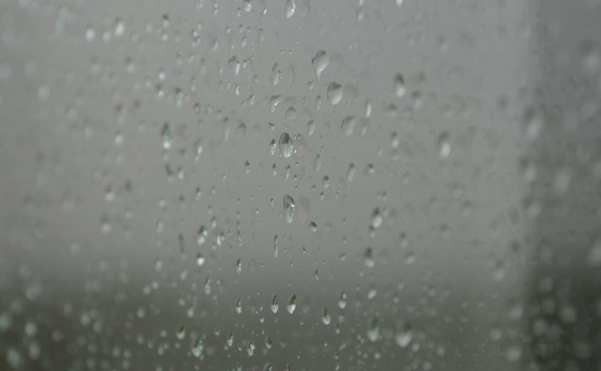 Погода в Туле 12 октября: ожидается дождь 