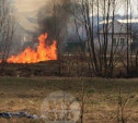 В Пролетарском районе Тулы горит трава: огонь подбирается к жилым домам