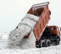 В Туле создадут единую площадку для вывоза снега
