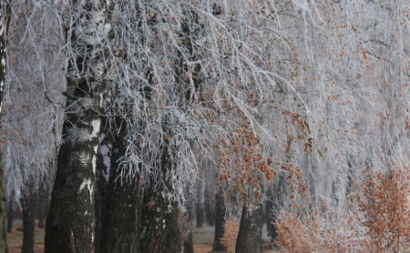 Жизнь Тулы и области