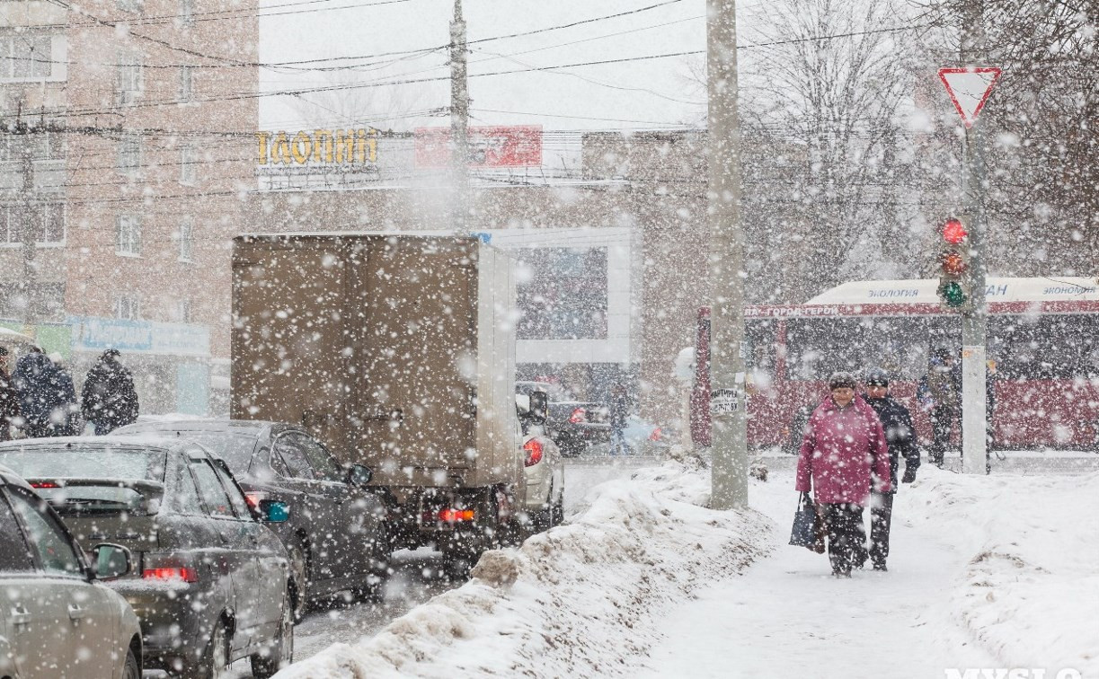 Погода в Туле 24 марта: мокрый снег, оттепель и облачность с прояснениями