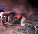 В Туле по факту поджога машин на ул. Вильямса возбуждено уголовное дело