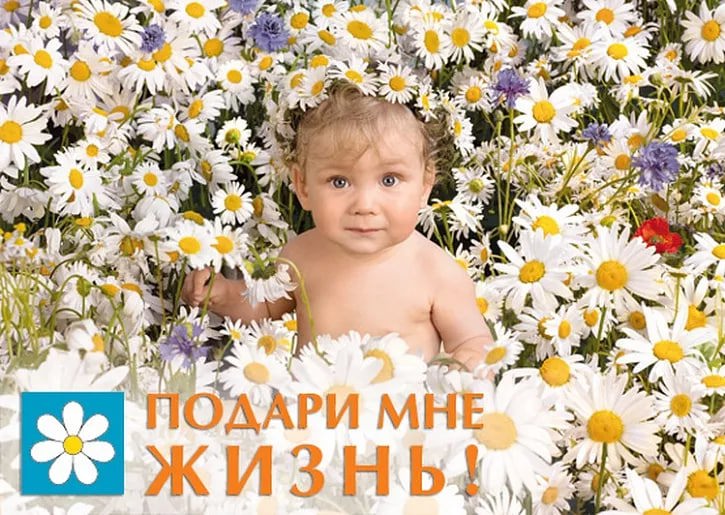 В Туле стартовала всероссийская акция «Подари мне жизнь» 