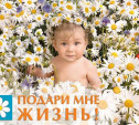 В Туле стартовала всероссийская акция «Подари мне жизнь» 