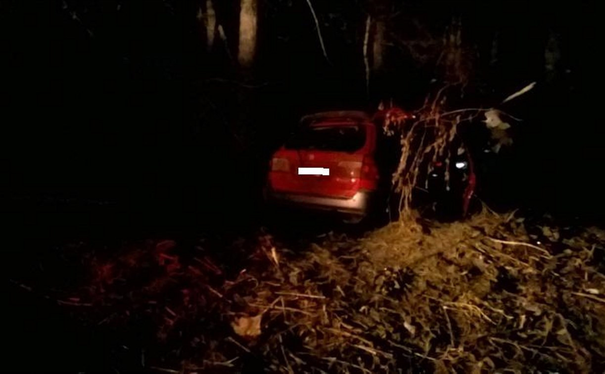 В Алексине «Хонда» врезалась в дерево