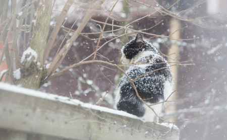 Жизнь Тулы и области