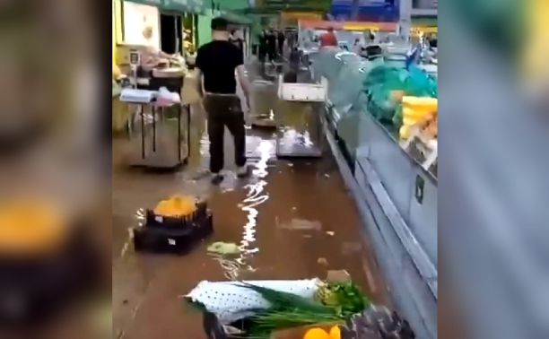 В Новомосковске после ливня затопило рынок: видео