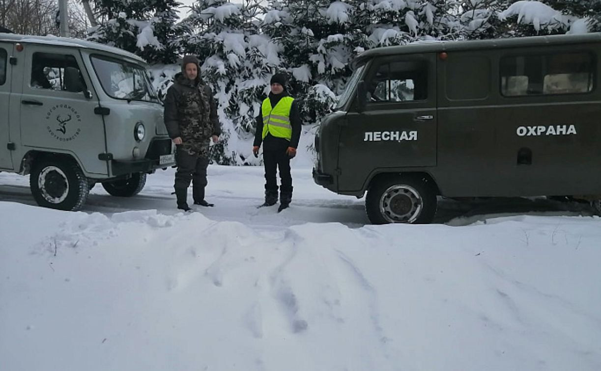 Рейды и патрули: Перед Новым годом в Тульских лесах усилили охрану ёлок и сосен